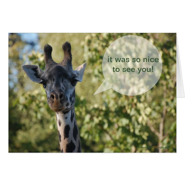 Giraffe Greeting Card (Front Horizontal)
