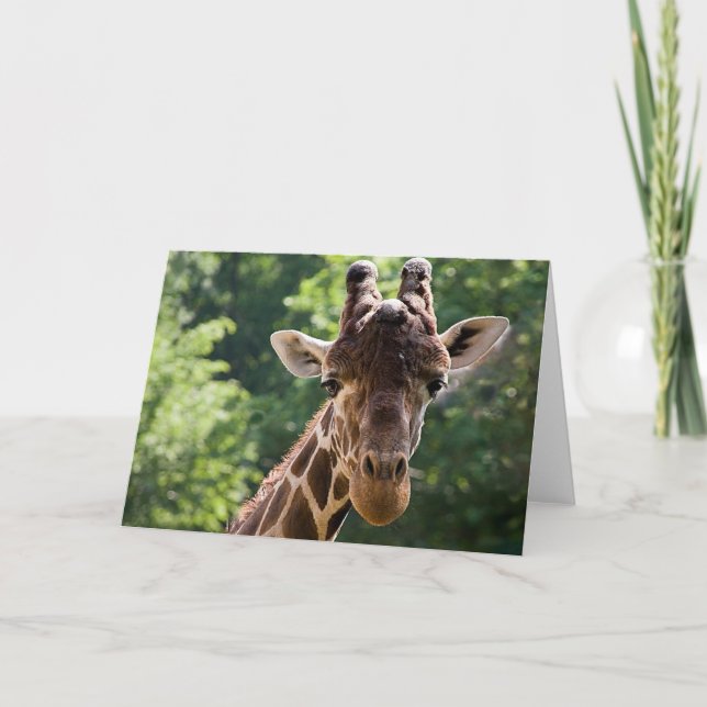 Giraffe • Greeting Card (Front)