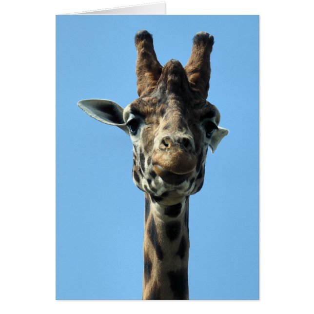 GIRAFFE GREETINGS CARD (Front)