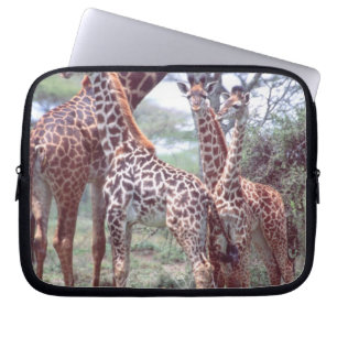 Giraffe Group or Herd w/ Young, Giraffa Laptop Sleeve