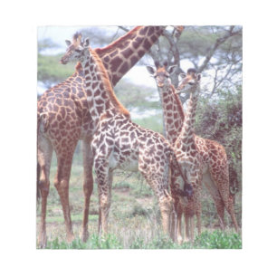 Giraffe Group or Herd w/ Young, Giraffa Notepad