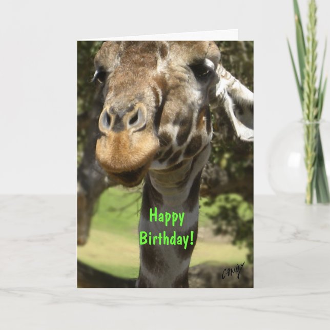 Giraffe, Happy Birthday! Card (Front)