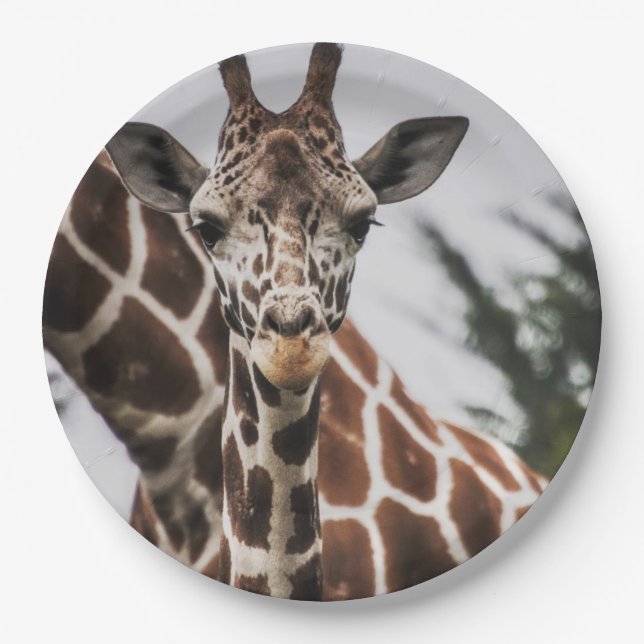 Giraffe head Giraffe fur print African Animal Paper Plate (Front)