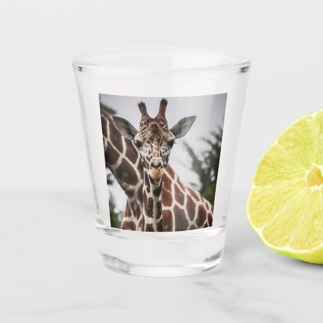 Giraffe head Giraffe fur print African Animal Shot Glass (Front)