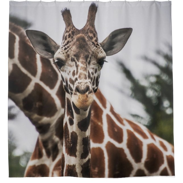 Giraffe head Giraffe fur print African Animal Shower Curtain (Front)
