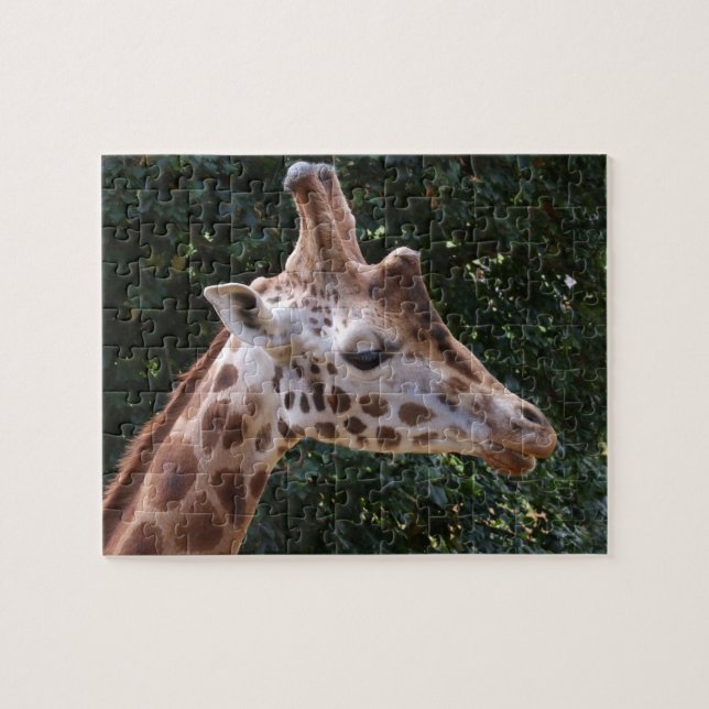 Giraffe Head Jigsaw Puzzle (Horizontal)
