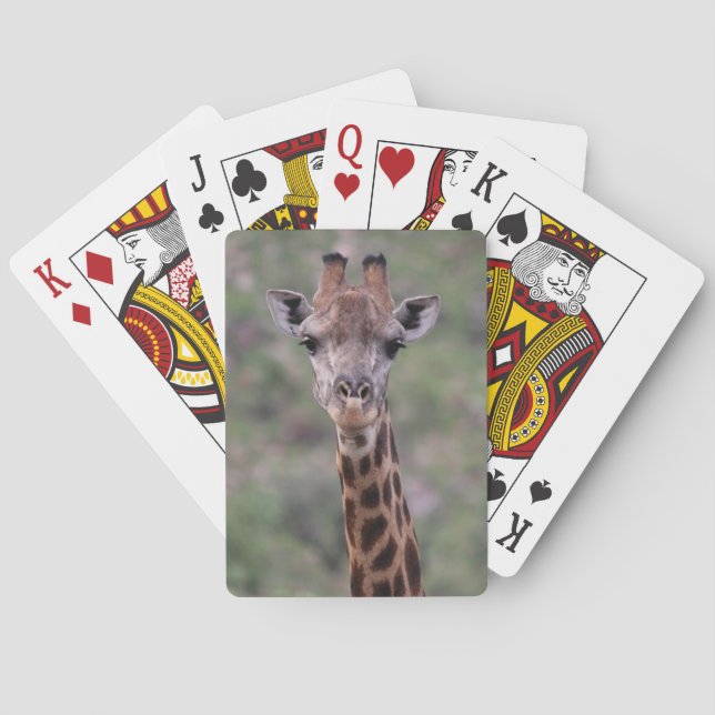 Giraffe Headshot Playing Cards (Back)