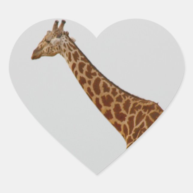 Giraffe Heart Sticker (Front)