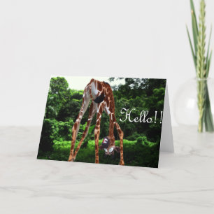 giraffe Hello Card