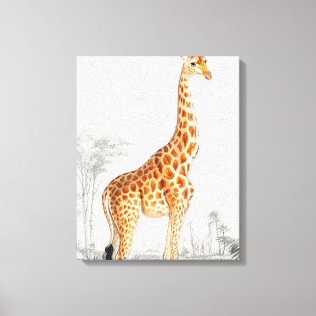Giraffe Illustration Vintage Art Print (Front)