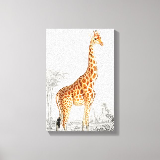 Giraffe Illustration Vintage Art Print (Front)