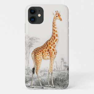 Giraffe Illustration Vintage Art Print iPhone 11 Case