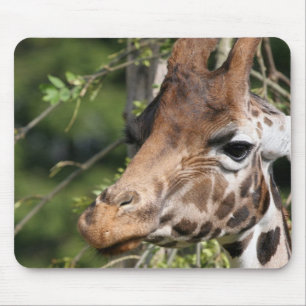 Giraffe Images Mouse Pad