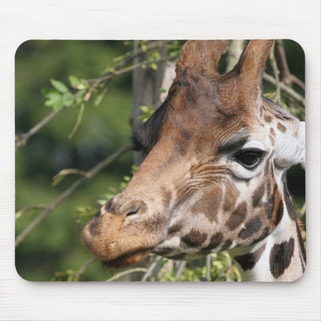 Giraffe Images Mouse Pad (Front)