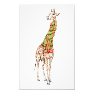 Giraffe in a Scarf Photo Print
