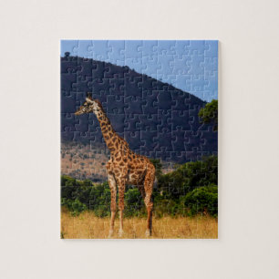 Giraffe In Africa Jigsaw Puzzle