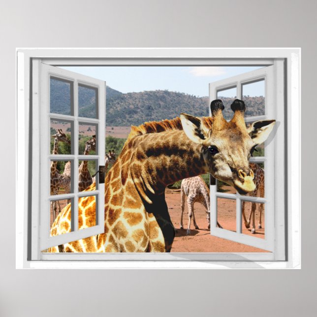 Giraffe in Fake Window View Trompe l'oeil Effect Poster (Front)