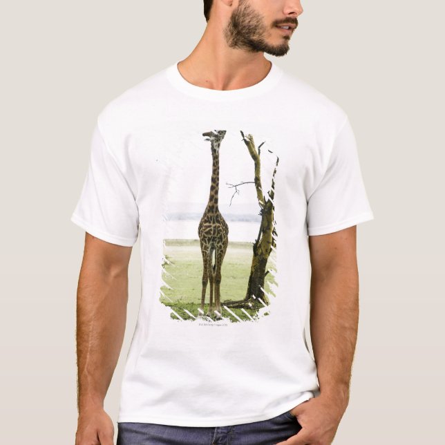 Giraffe in Kenya, Africa T-Shirt (Front)