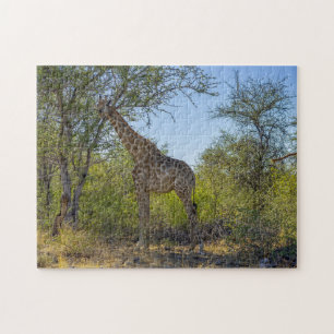 Giraffe in Natural Habitat, Africa Jigsaw Puzzle