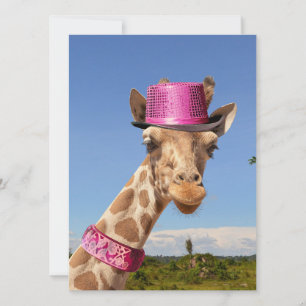 Giraffe in sparkly pink hat