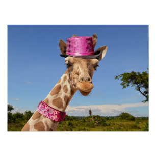 Giraffe in sparkly pink hat poster