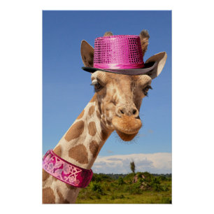 Giraffe in sparkly pink hat poster