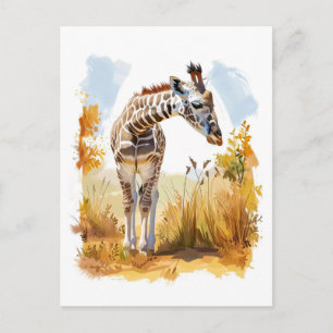 Giraffe in Tall Grass Holiday Postcard