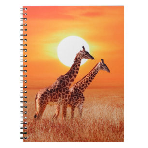 Giraffe in the African savanna against the backdro Notebook
