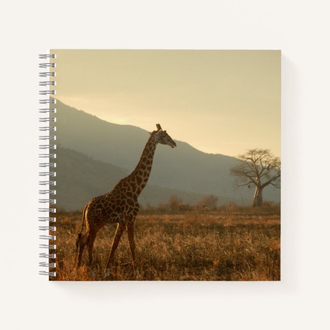 Giraffe in the Savannah Notebook (Front)