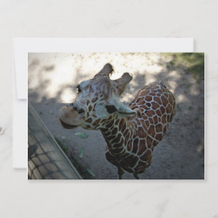 Giraffe Invitation