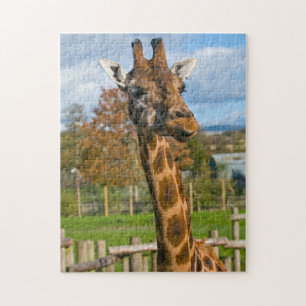 Giraffe Jigsaw puzzle