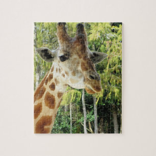 Giraffe Jigsaw Puzzle