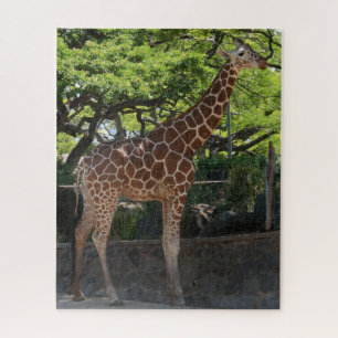 Giraffe Jigsaw Puzzle