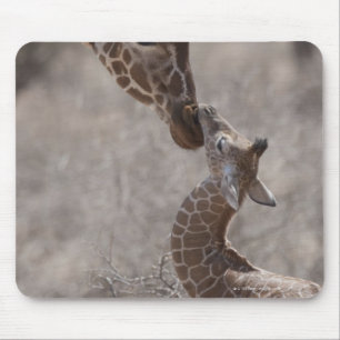 Giraffe, Kenya, Africa Mouse Mat