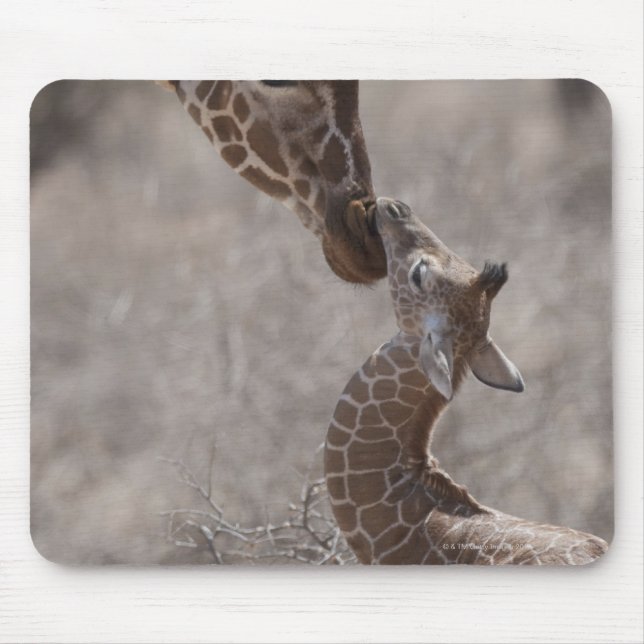 Giraffe, Kenya, Africa Mouse Mat (Front)