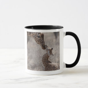 Giraffe, Kenya, Africa Mug