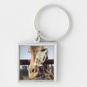 Giraffe Key Ring