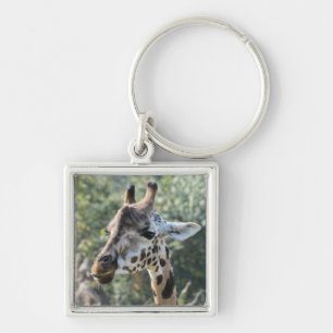 Giraffe Key Ring