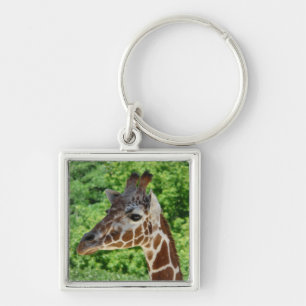 giraffe key ring