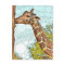 Giraffe Kiss Postcard