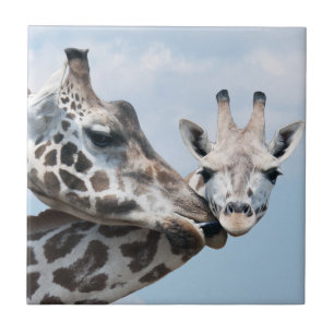 Giraffe Kisses Her Calf Tile