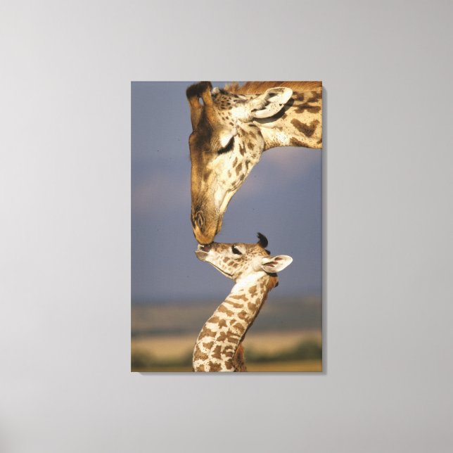 Giraffe Kissing Baby Giraffe Canvas Print (Front)