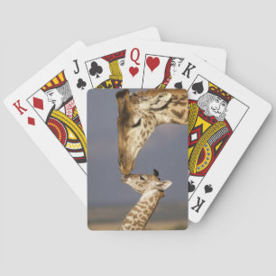 Giraffe Kissing Baby Giraffe Playing Cards
