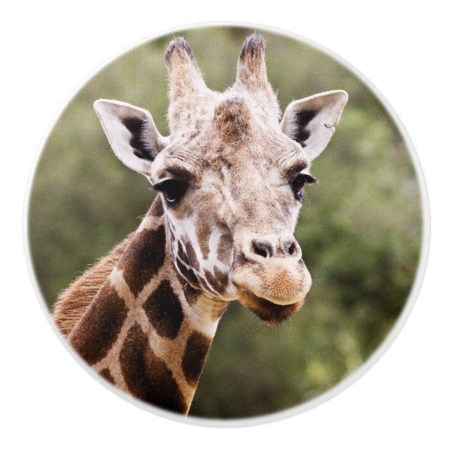 Giraffe knob (Front)