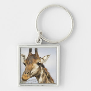 Giraffe, Kruger National Park, South Africa Key Ring