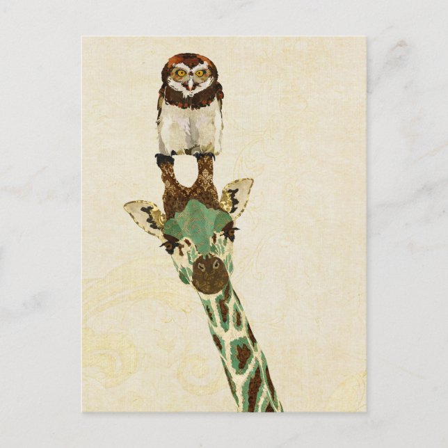 GIRAFFE & LITTLE OWL Postcard (Front)