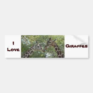 Giraffe Love Bumper Sticker