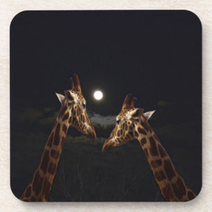 Giraffe Love In The Moonlight, Coaster