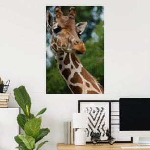 Giraffe Lovers Art Print Gifts