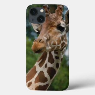 Giraffe Lovers iPhone 13 Case